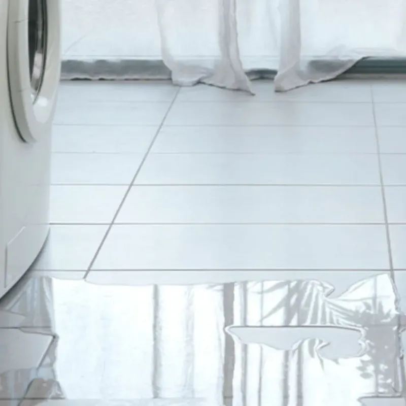 Appliance Leak Cleanup in Roscommon County, MI