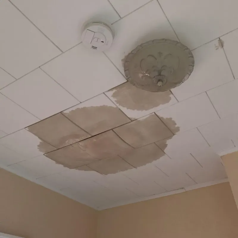 Ceiling Water Damage Repair in Roscommon County, MI