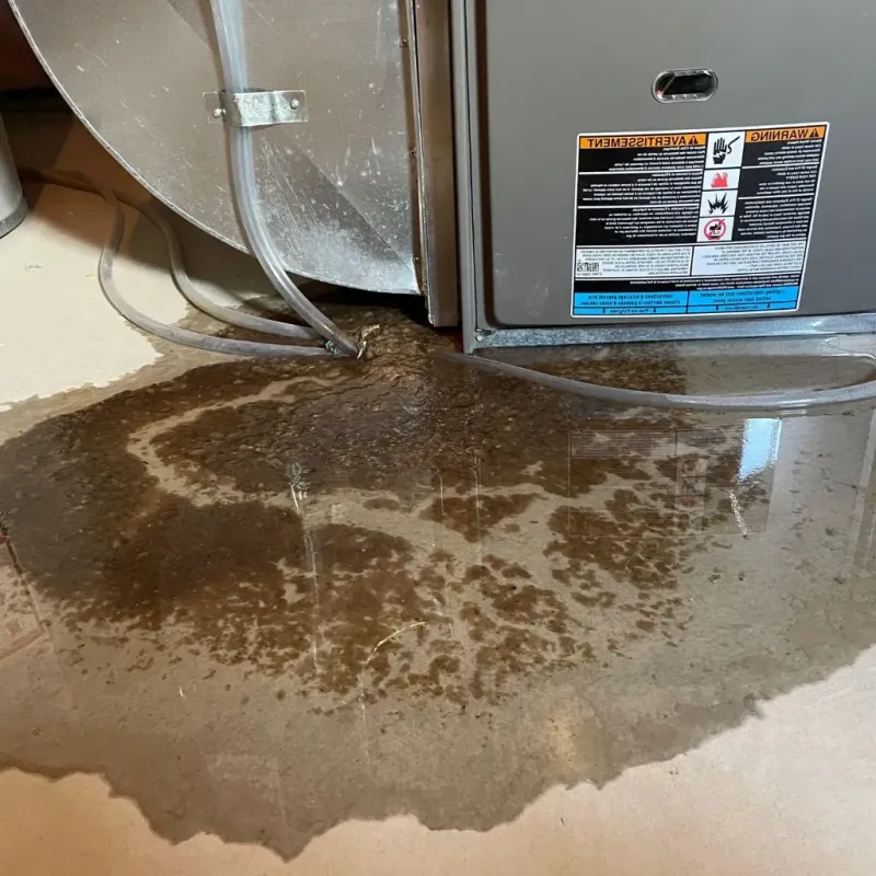 Pipe Burst and Leak Restoration in Roscommon County, MI
